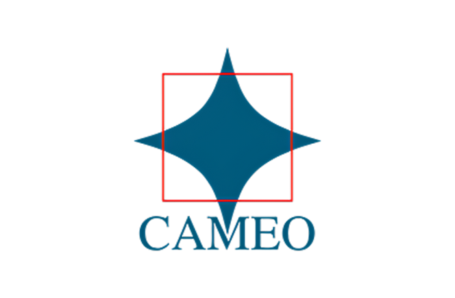 Cameo Corporate Services Limited IPO Registrar Review: Roles, Responsibilities & Recent IPOs