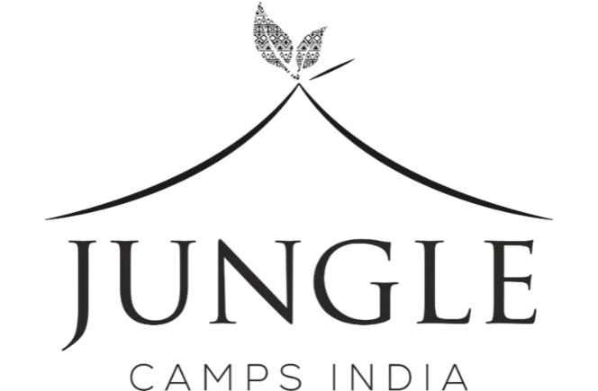 Jungle Camps India IPO GMP Today, Date, Price, Subscription Status 