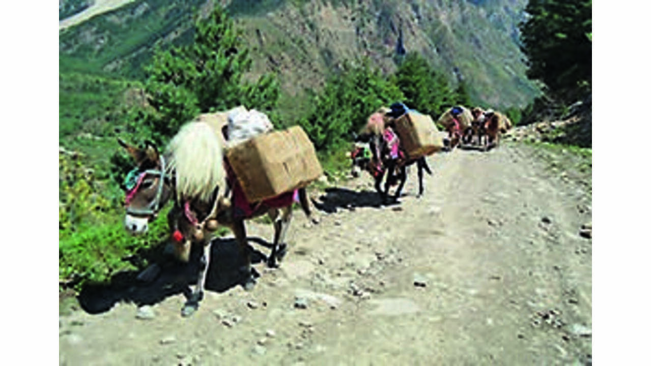 India-Tibet Border Trade Resumes with Restricted Trader Access After Two-Month Pause